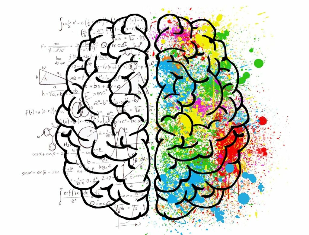Gehirn Illustration Formeln bunt Intelligenz steigern Jetzt den IQ verbessern!