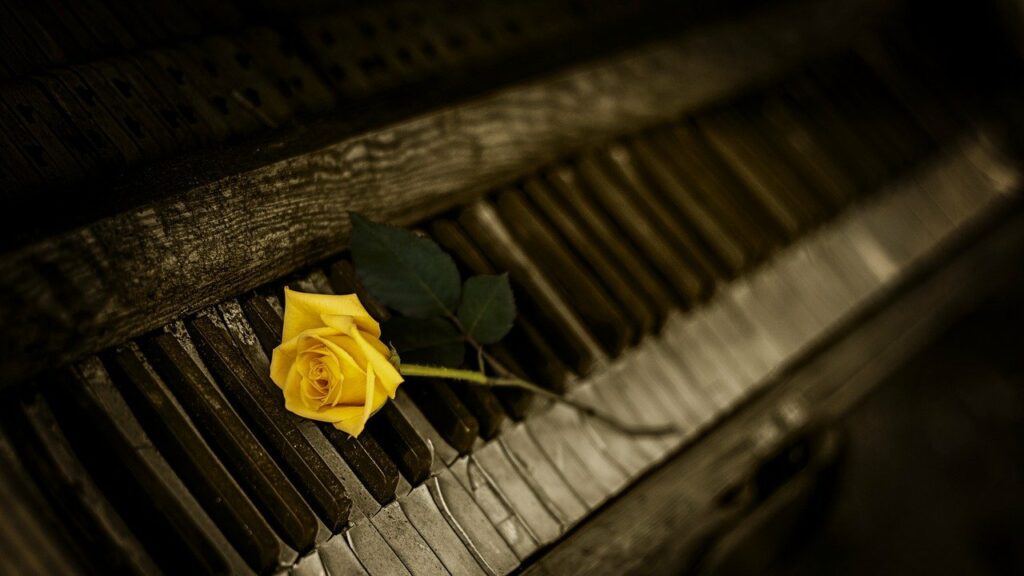 Rose auf dem Klavier Stimmung Kunst Klavierspielen online lernen Tipps und Tricks