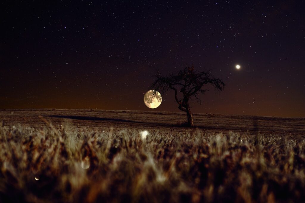Feld Mond Nacht Nachtschicht auf dem Feld – wenn der Bauer im Dunkeln erntet