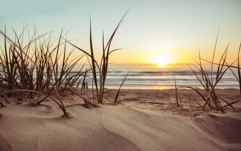 Strand Meer Gras Entdecken Sie Ihr Traumziel Charmante Ferienwohnungen entlang der Ostseeküste