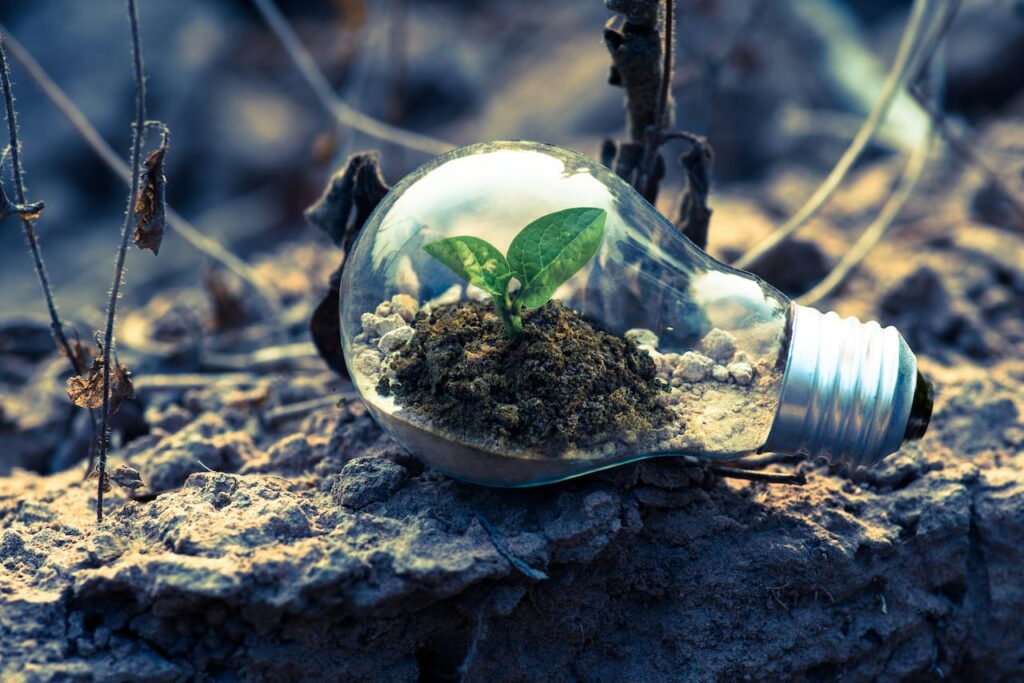 Glühbirne Pflanze Boden Nachhaltigkeit Nachhaltig in die Zukunft ESG-Kriterien für Unternehmen